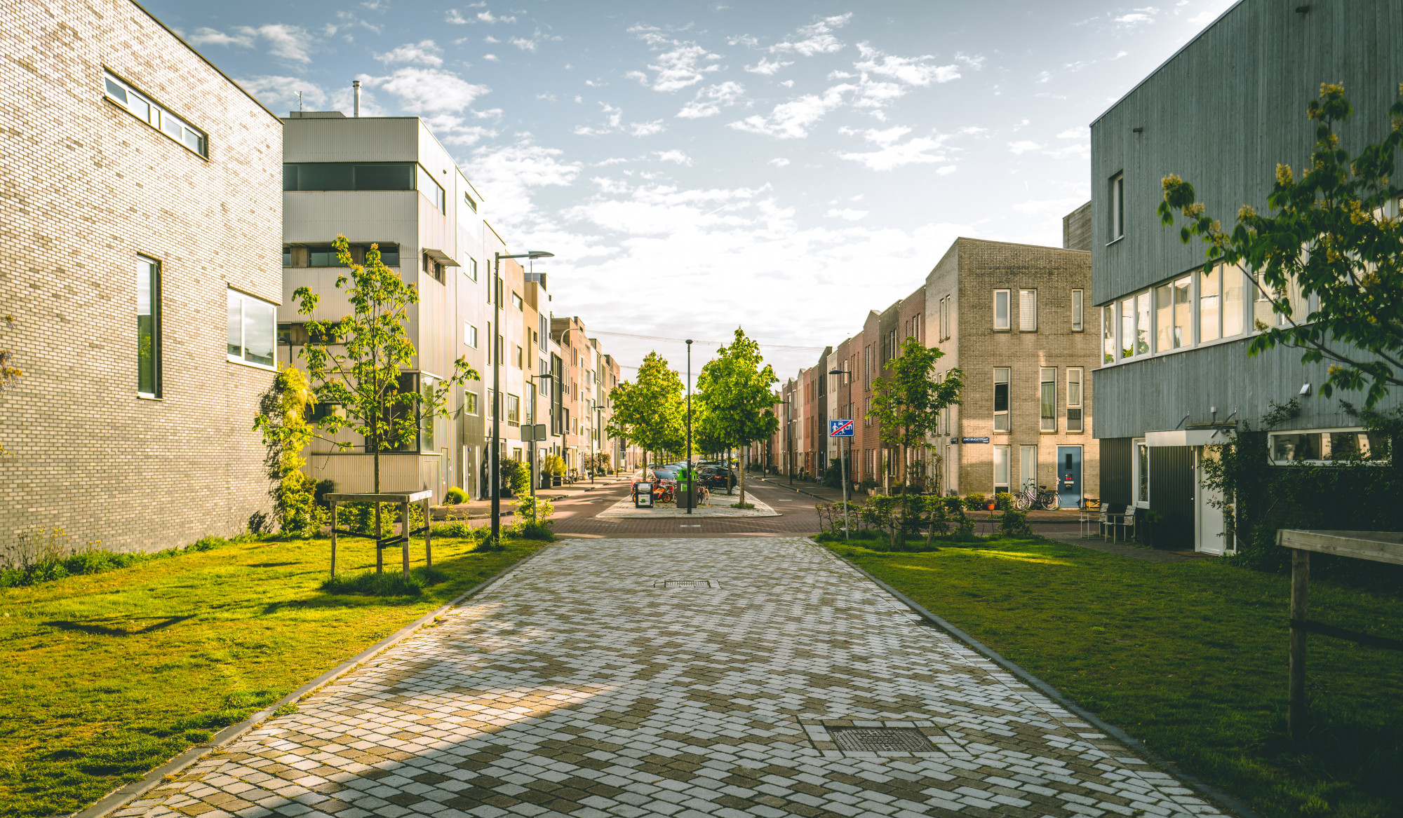 neighborhood with trees and grass