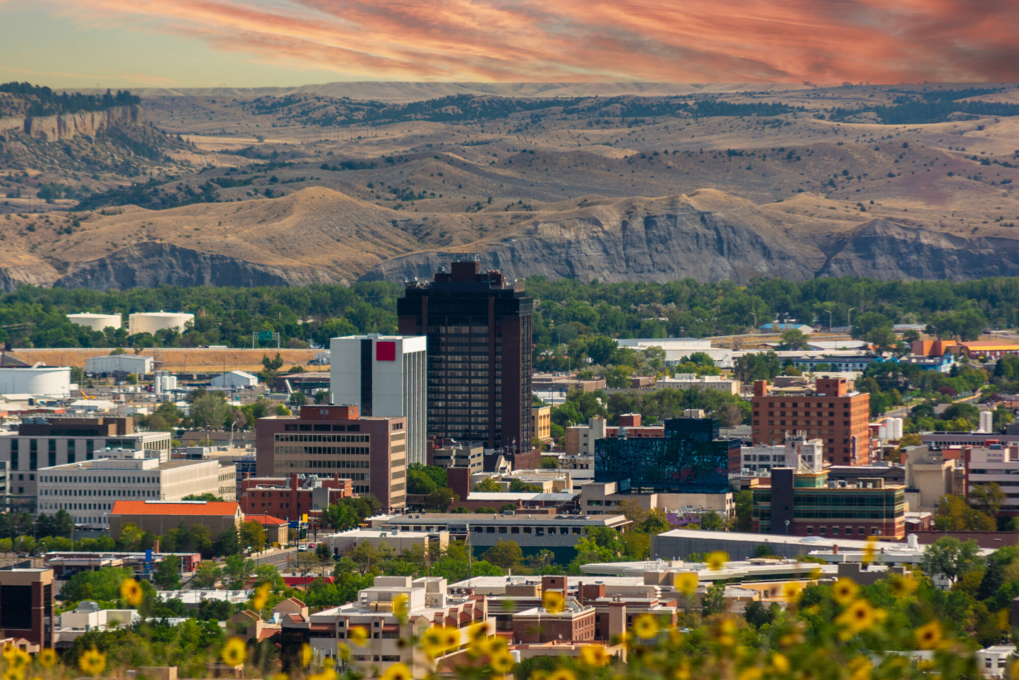 Photo of downtown Billings, Montana on a sunny summer day, with flowers in the foreground, buildings in the middle, and mountain ranges in the far distance.